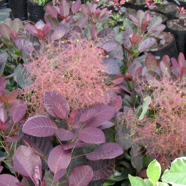 08.07.2007 14-43-43_0003